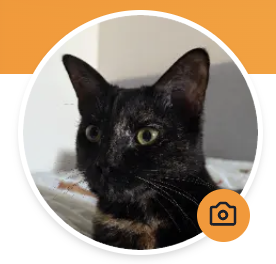 A clearer profile photo placeholder and entry point